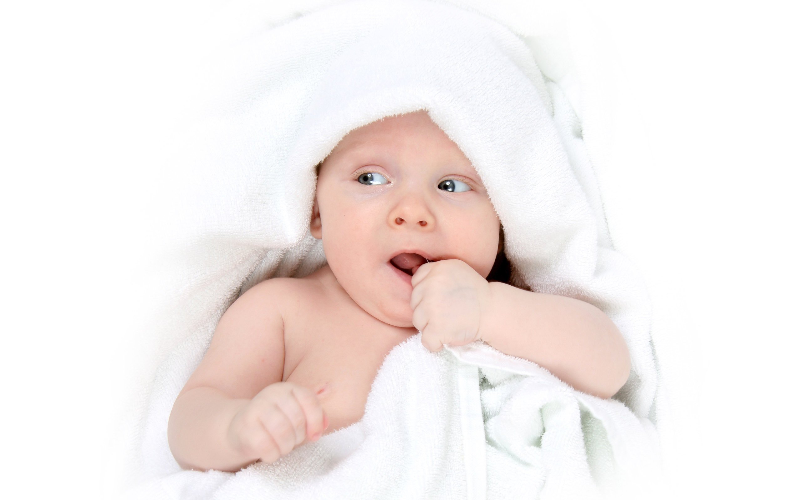 廊坊捐卵机构怎么提高试管婴儿成功率